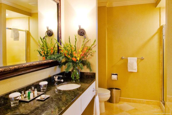 Hotel High Peaks Resort (Lake Placid)